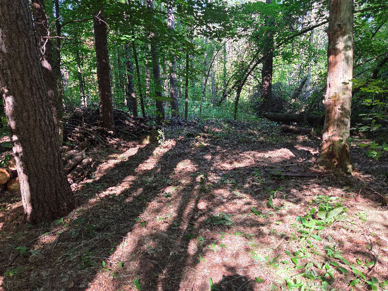 Burketon lot photo 1 Burketon lot photo 1